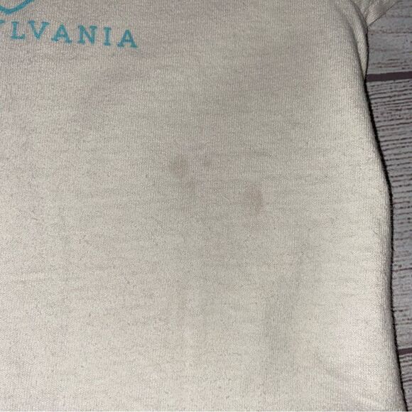 Gildan Pittsburgh Pa Longsleeve Crewneck off white 
t-shirt women size small - Picture 7 of 11